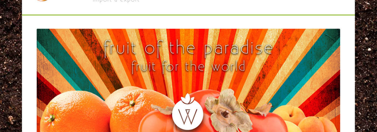 wonder-fruit-spain-web